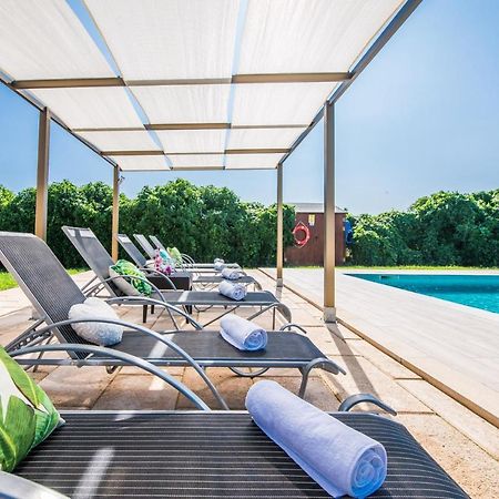 Ideal Property Mallorca - Villa Del Nord 萨伯布拉 外观 照片