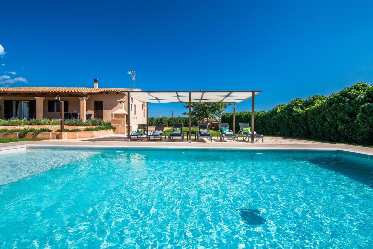 Ideal Property Mallorca - Villa Del Nord 萨伯布拉 外观 照片